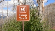 PICTURES/Glacier - The Loop Trail/t_Loop Trail Sign.JPG